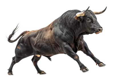 Imagen PNG para descargar